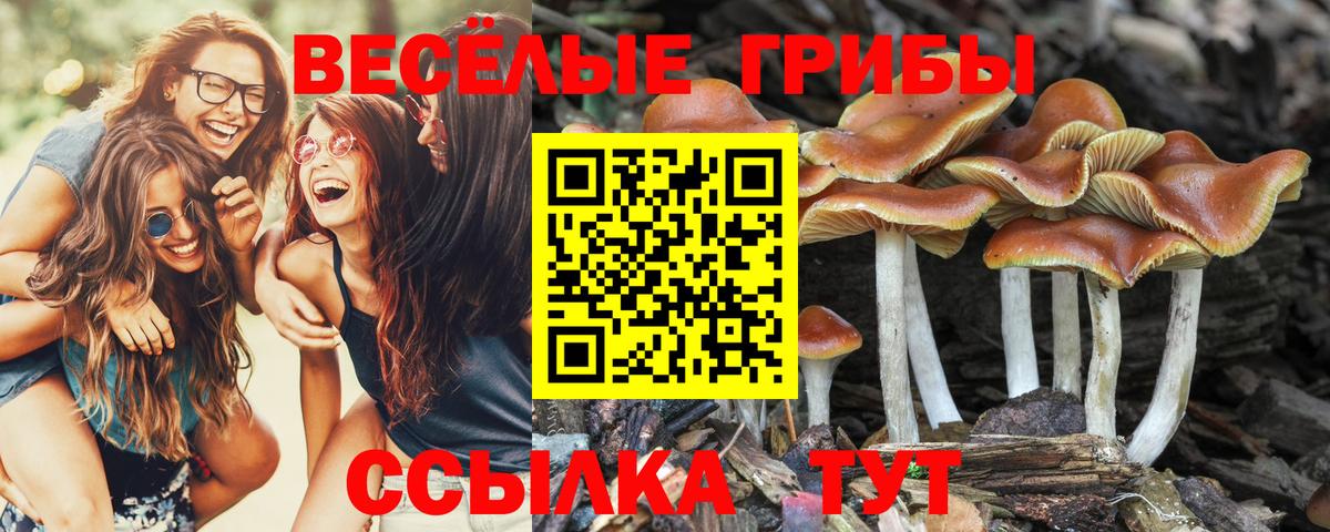 Красноперекопск  Псилоцибиновые грибы мицелий  Вход с VPN 
